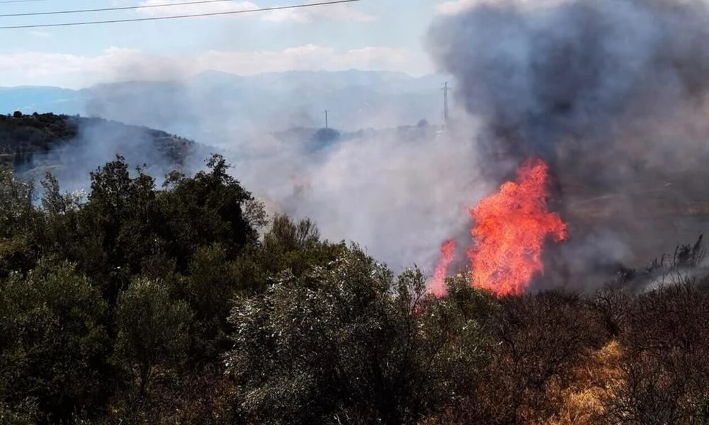 Φωτιά στη Μυτιλήνη - Κινητοποιήθηκαν εναέρια μέσα